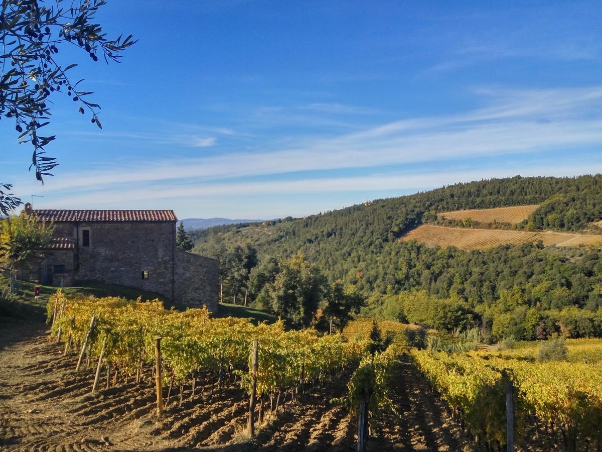 Agriturismo Piemaggino Villa Castellina in Chianti Exterior photo