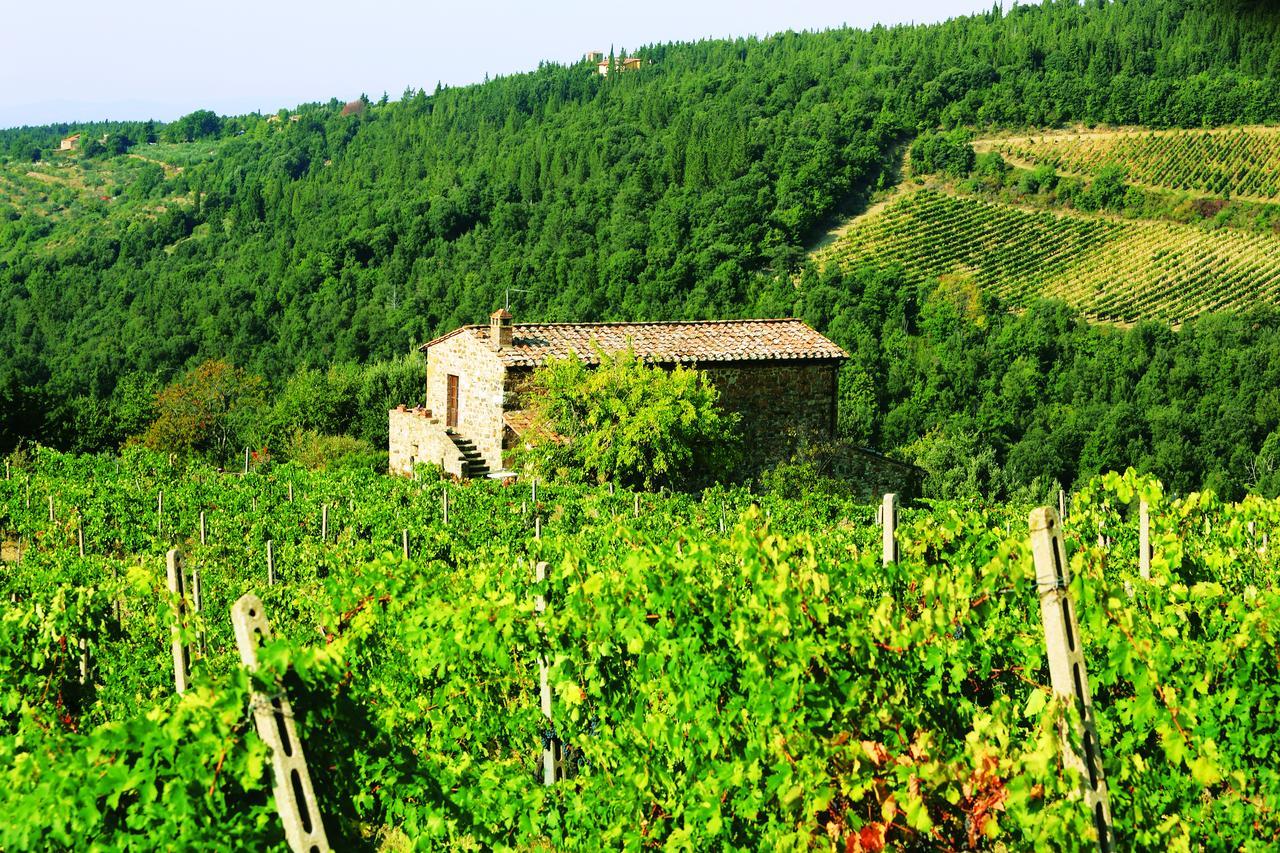 Agriturismo Piemaggino Villa Castellina in Chianti Exterior photo